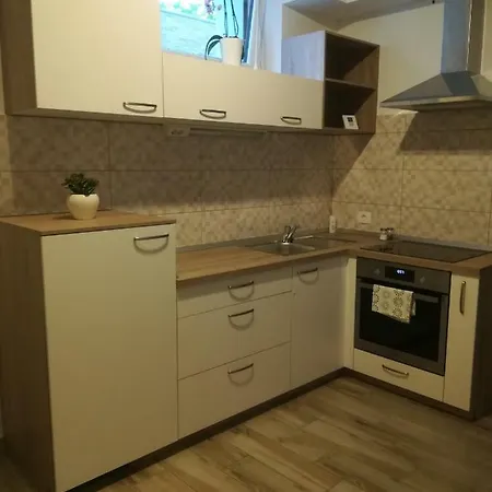 Gasthuis Apartma In Sobe Sorli *